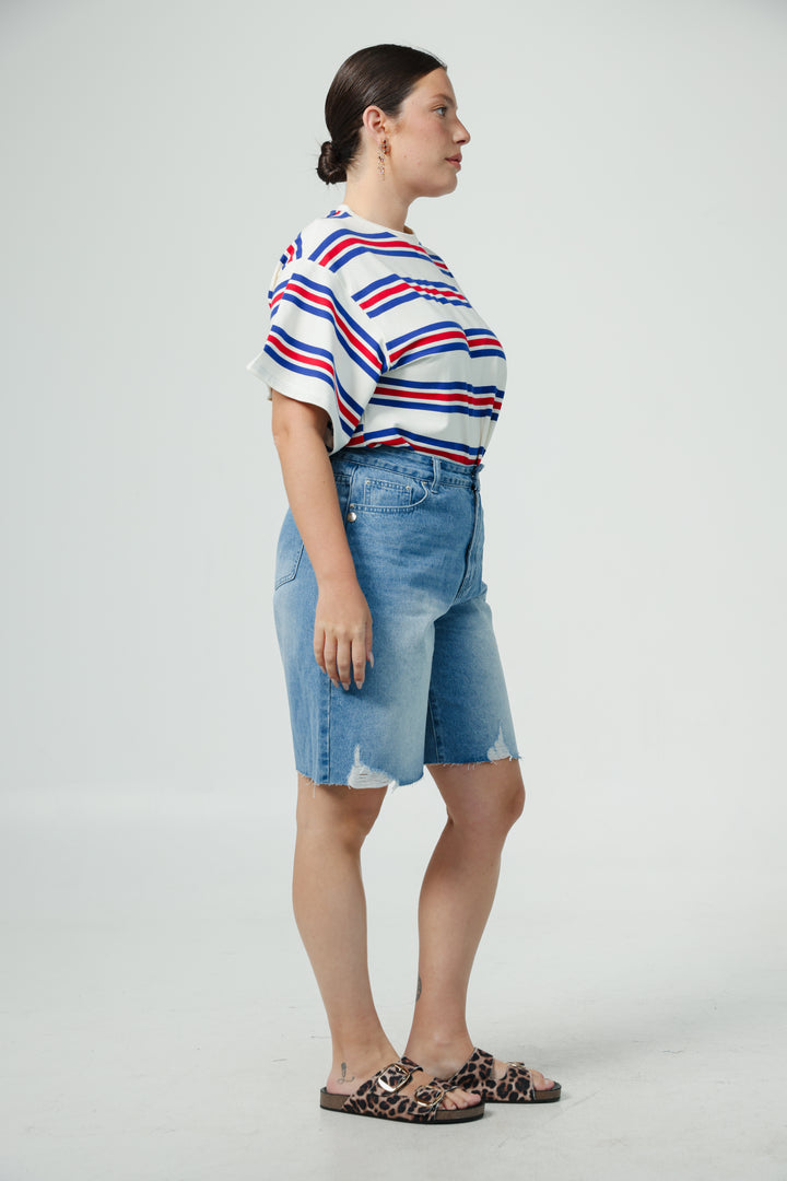 Federer Blue Striped T-Shirt