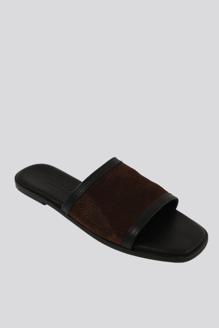 DNA No.24 Brown Slides