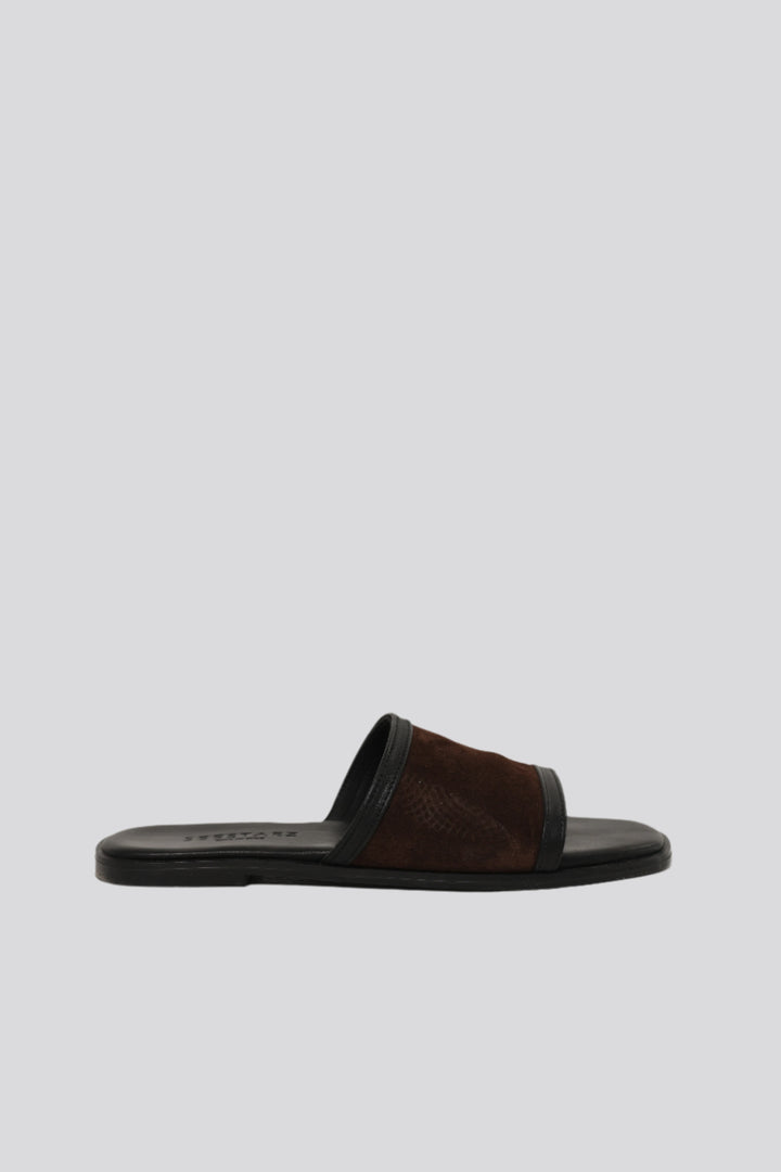 DNA No.24 Brown Slides