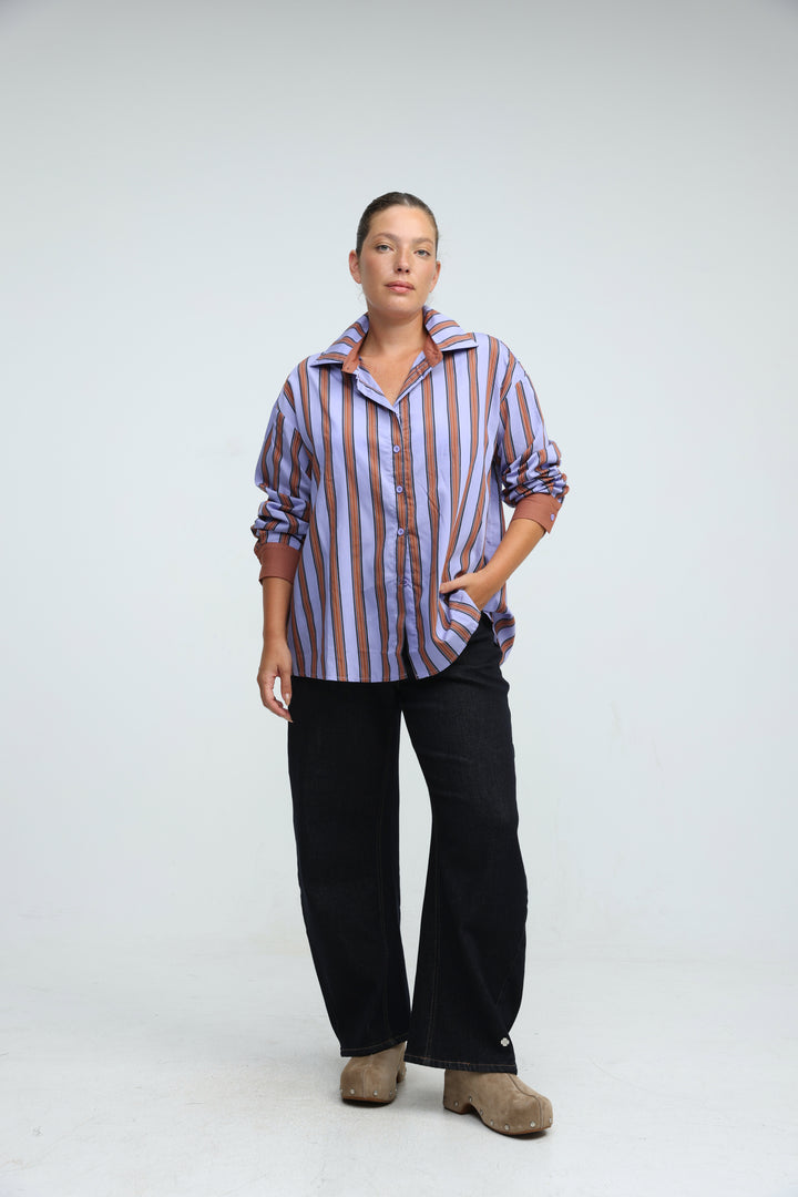 Checklist Purple Striped Buttoned Shirt