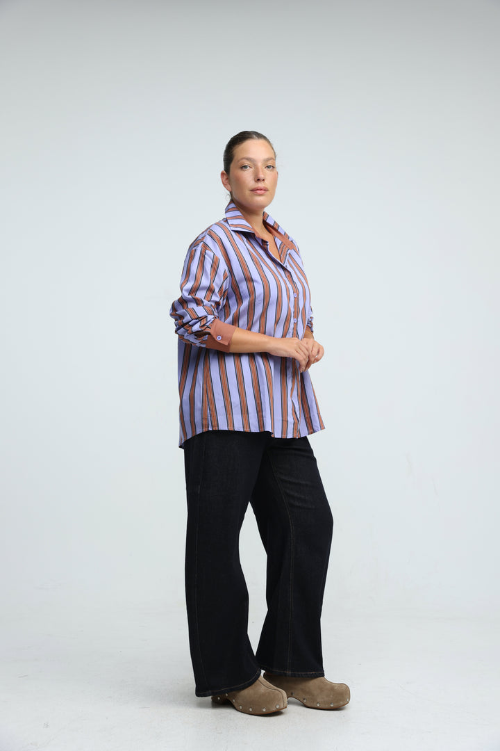 Checklist Purple Striped Buttoned Shirt