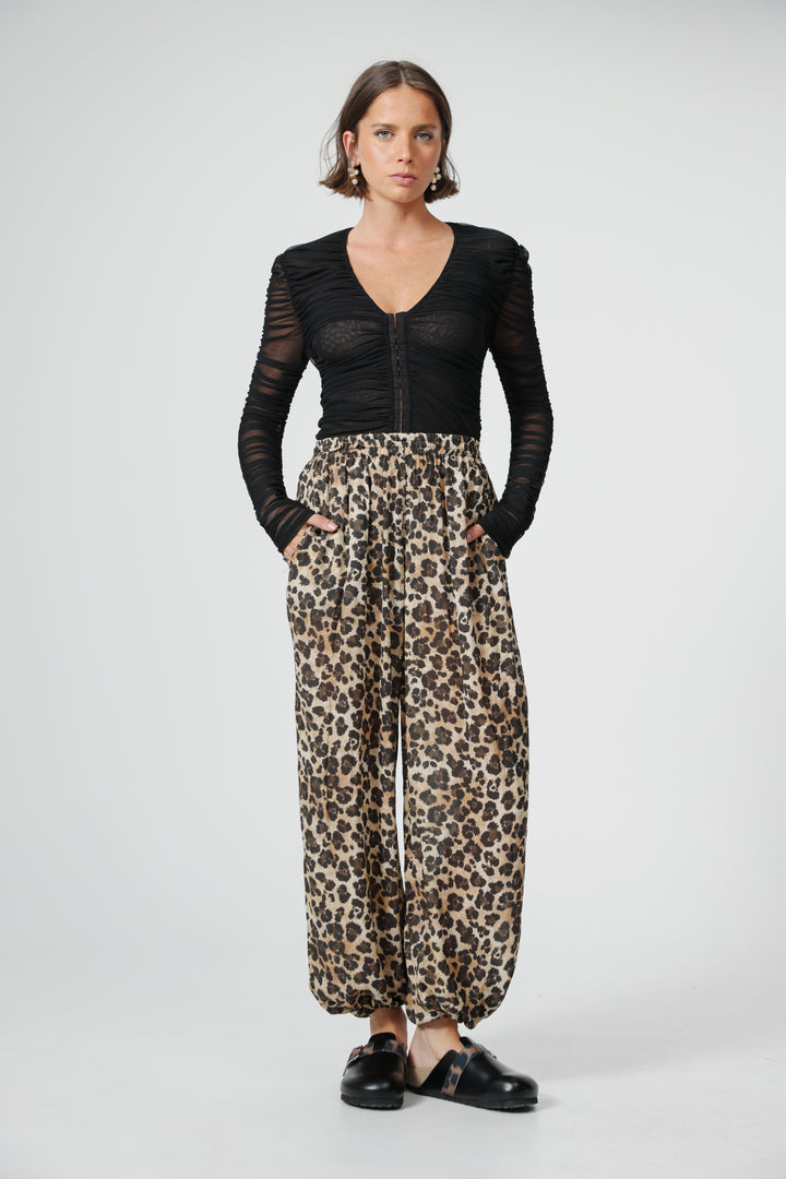 Aladdin Leopard Bottoms