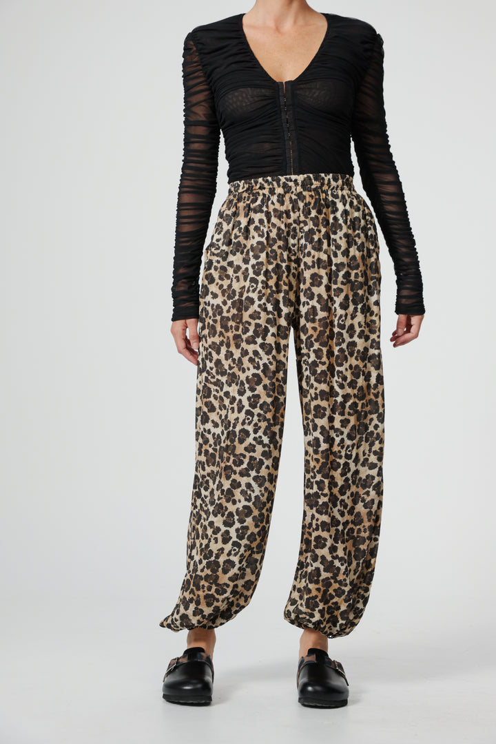 Aladdin Leopard Bottoms