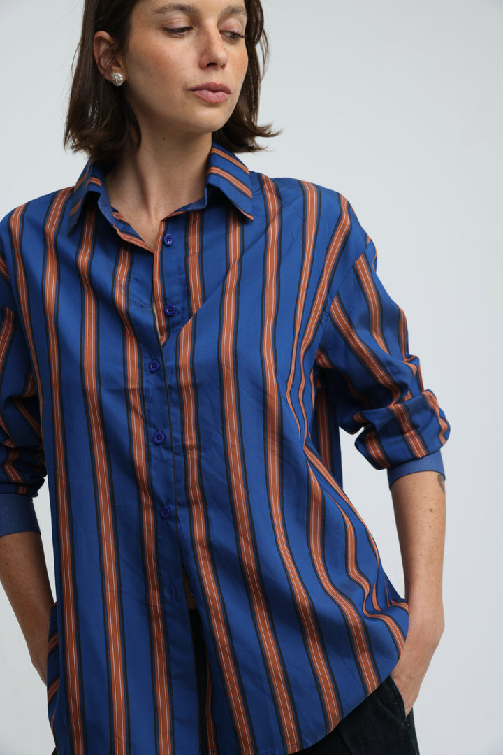 Checklist Navy Striped Buttoned Shirt