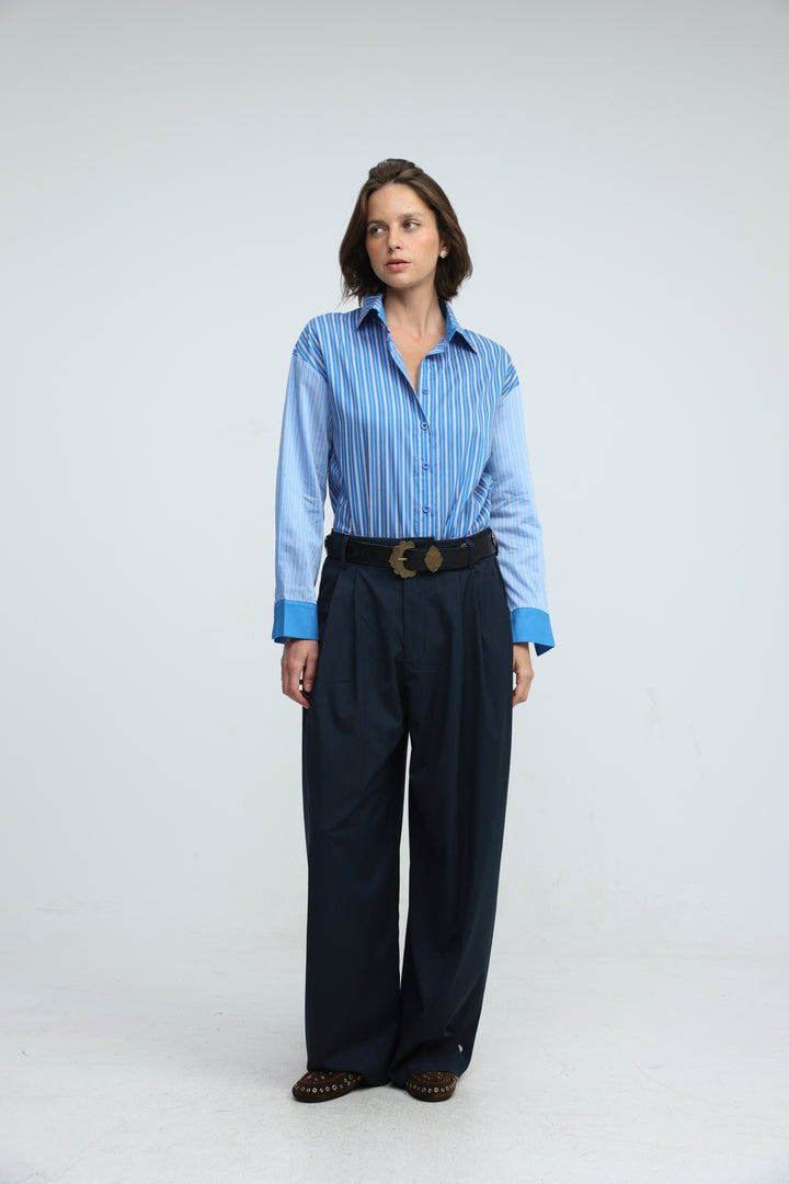 Checklist Blue Striped Buttoned Shirt