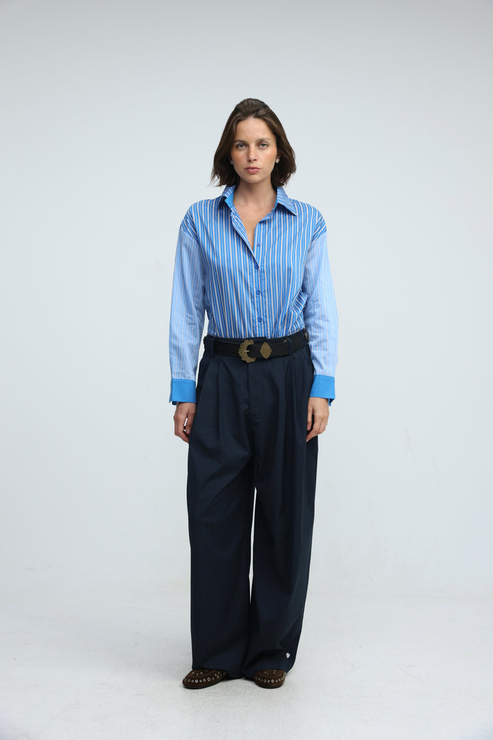 Checklist Blue Striped Buttoned Shirt