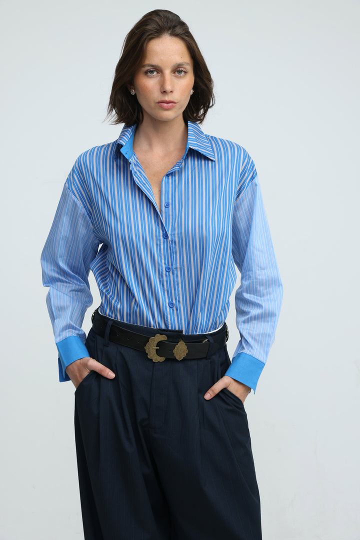 Checklist Blue Striped Buttoned Shirt