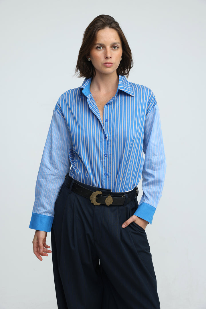 Checklist Blue Striped Buttoned Shirt