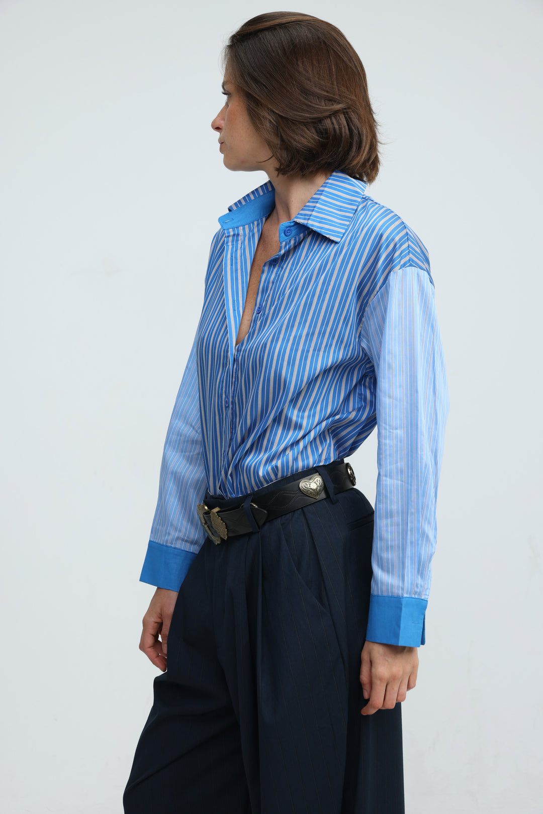 Checklist Blue Striped Buttoned Shirt