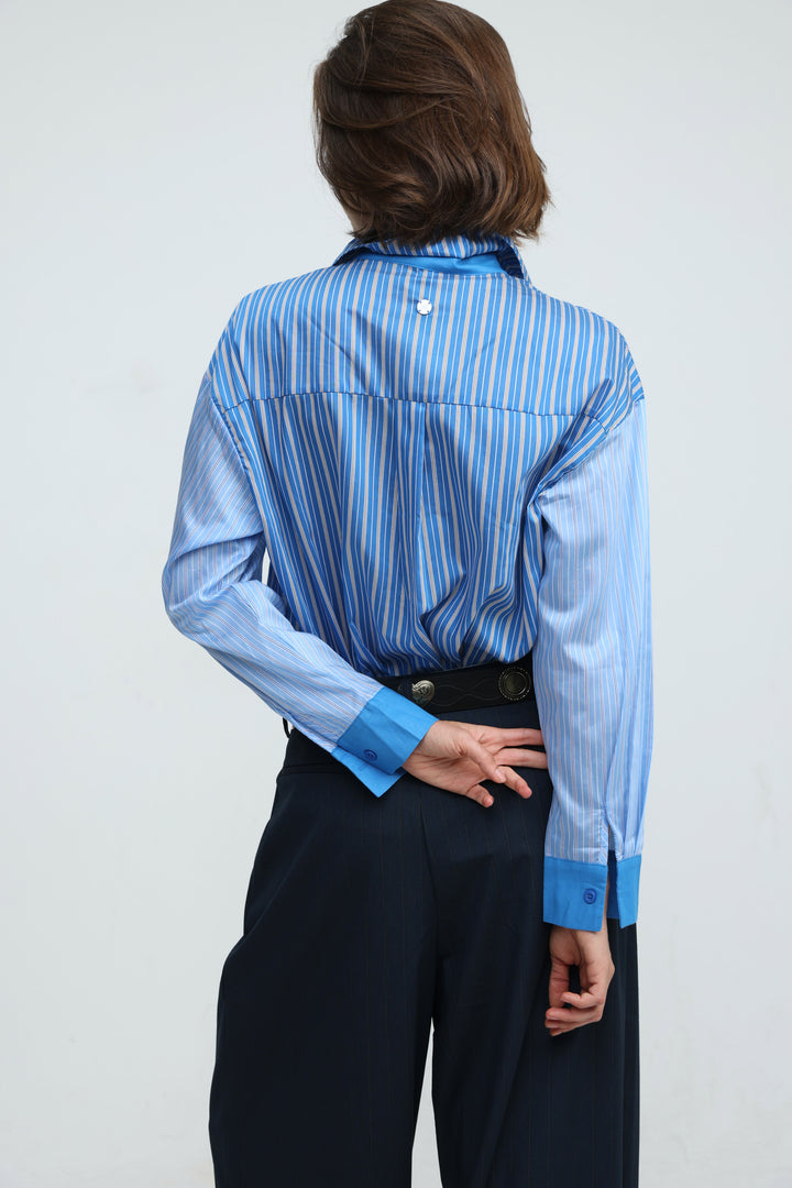 Checklist Blue Striped Buttoned Shirt