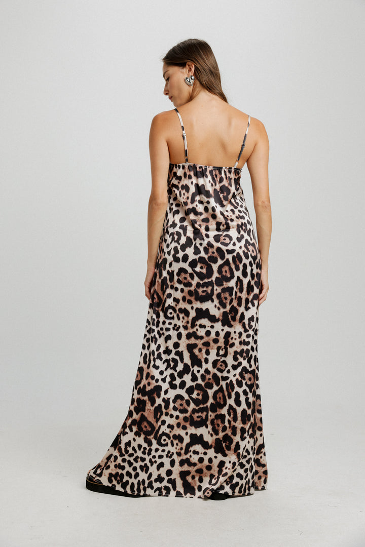 Lace Leopard Dress