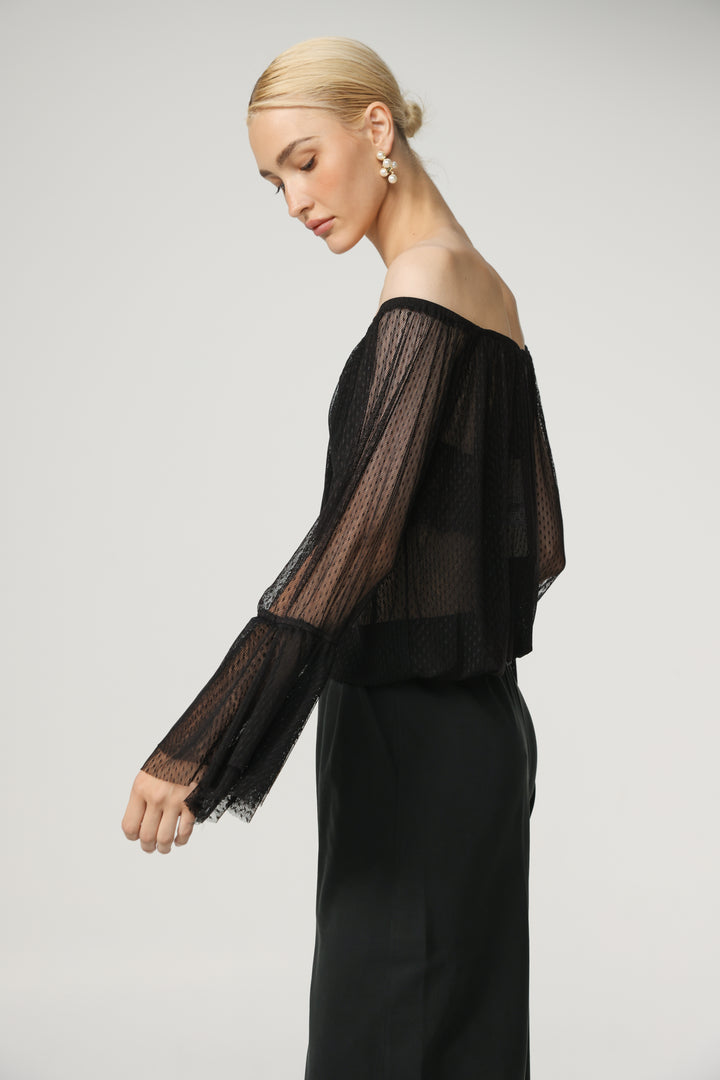 Sheer Black Off-Shoulder Mesh Top
