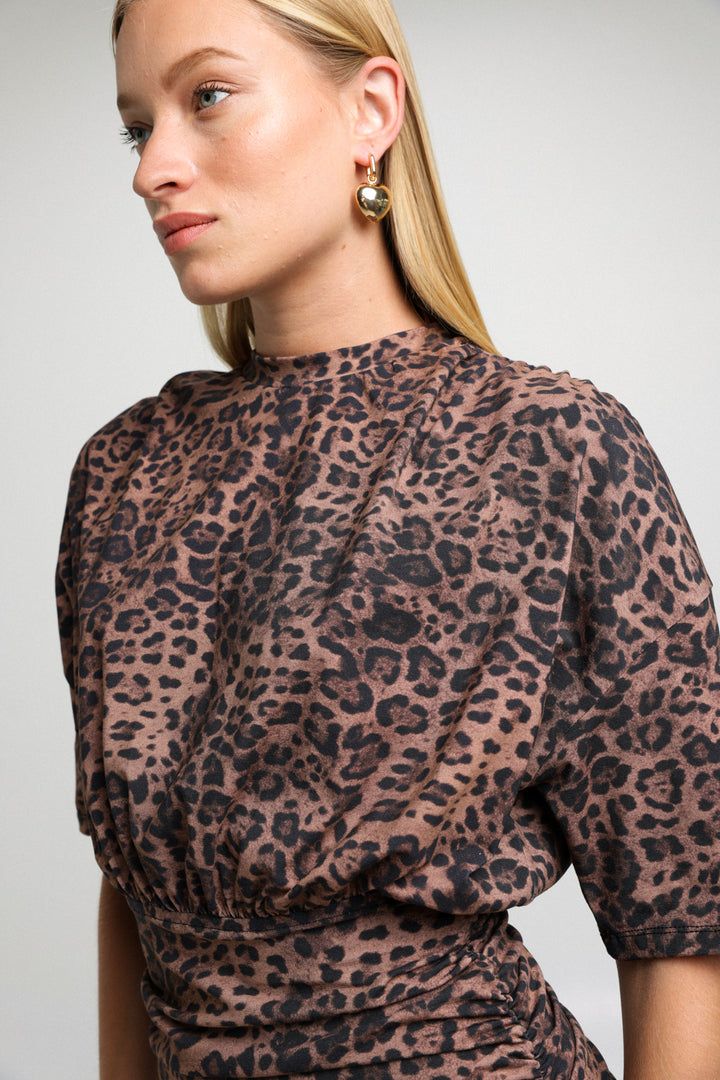 Moonlight Leopard Dress