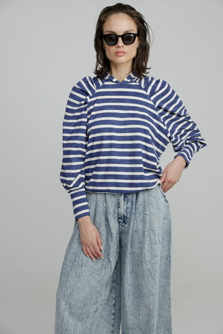 Blue Stripes Sweatshirt Sweatshirt