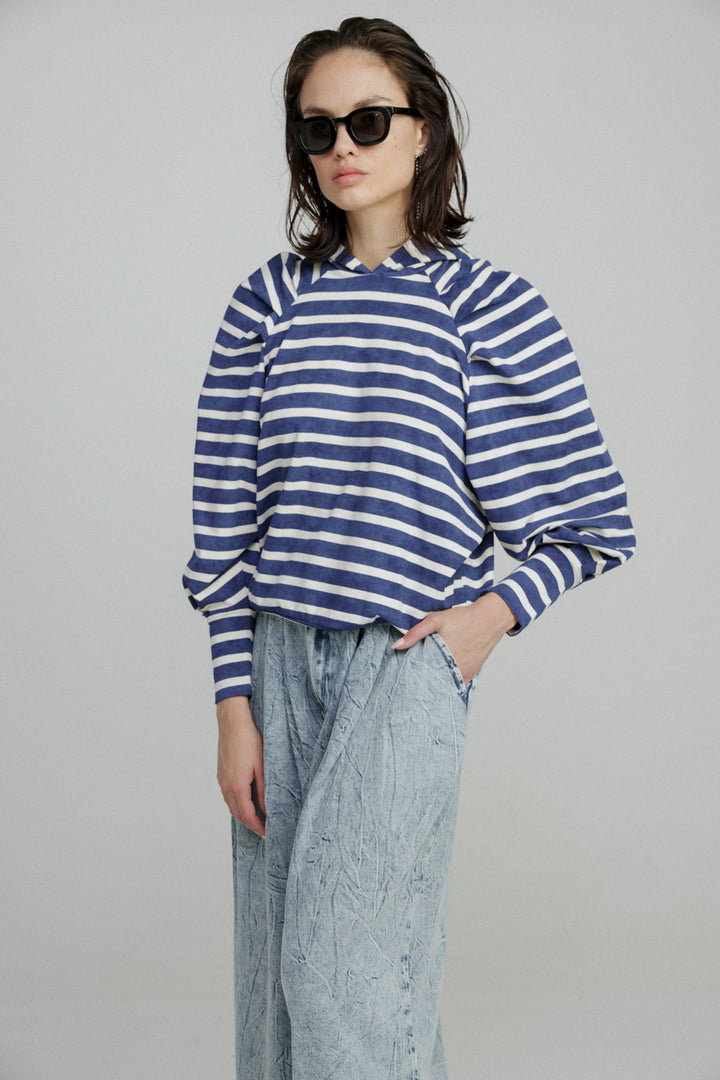 Blue Stripes Sweatshirt Sweatshirt