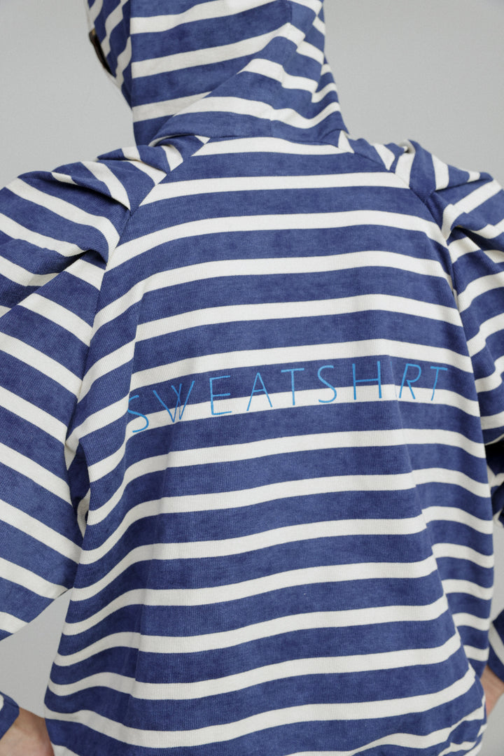 Blue Stripes Sweatshirt Sweatshirt