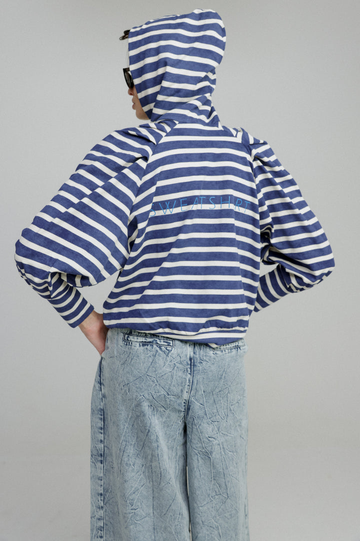 Blue Stripes Sweatshirt Sweatshirt