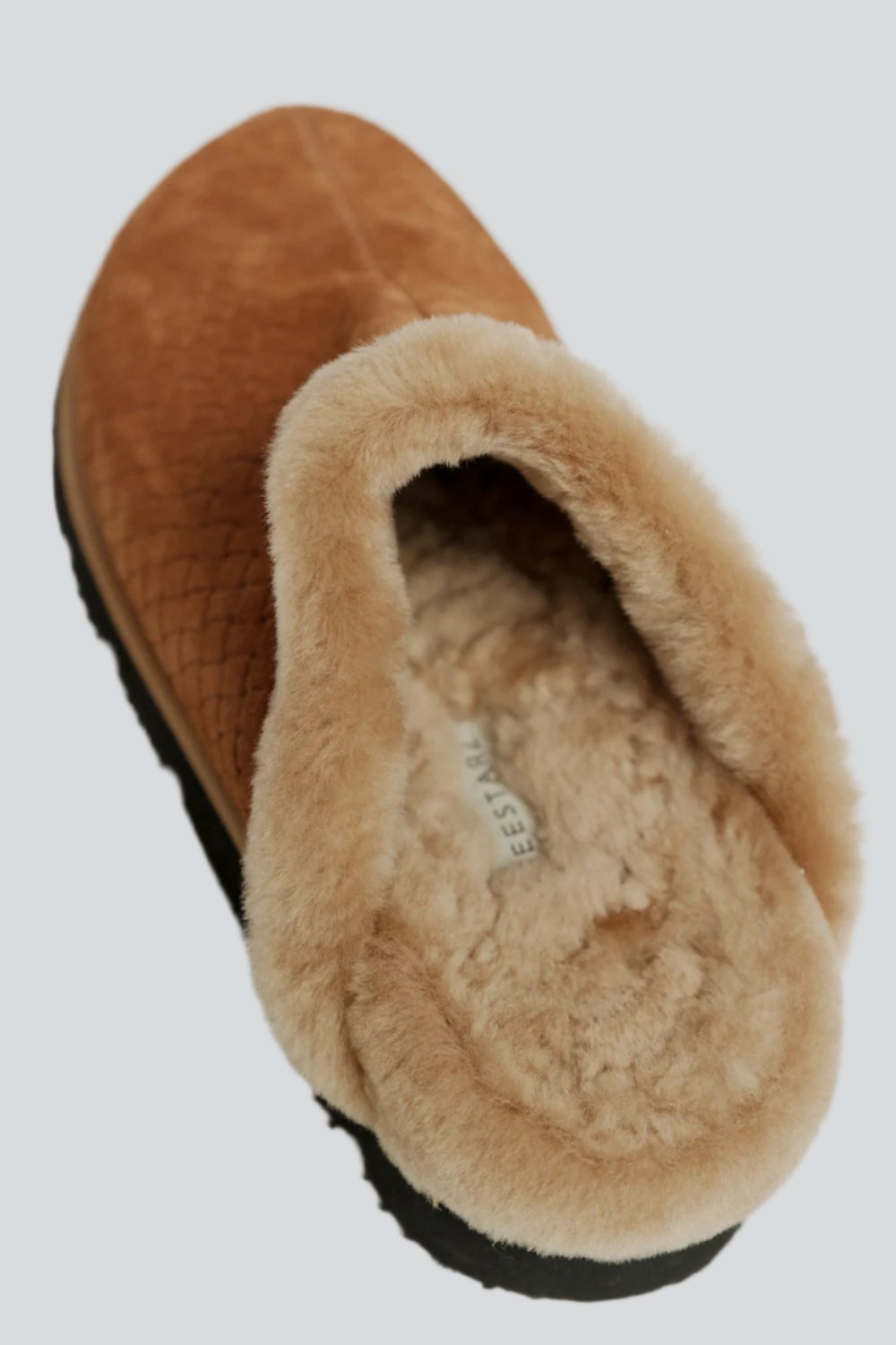 DNA No.21 Camel Mules