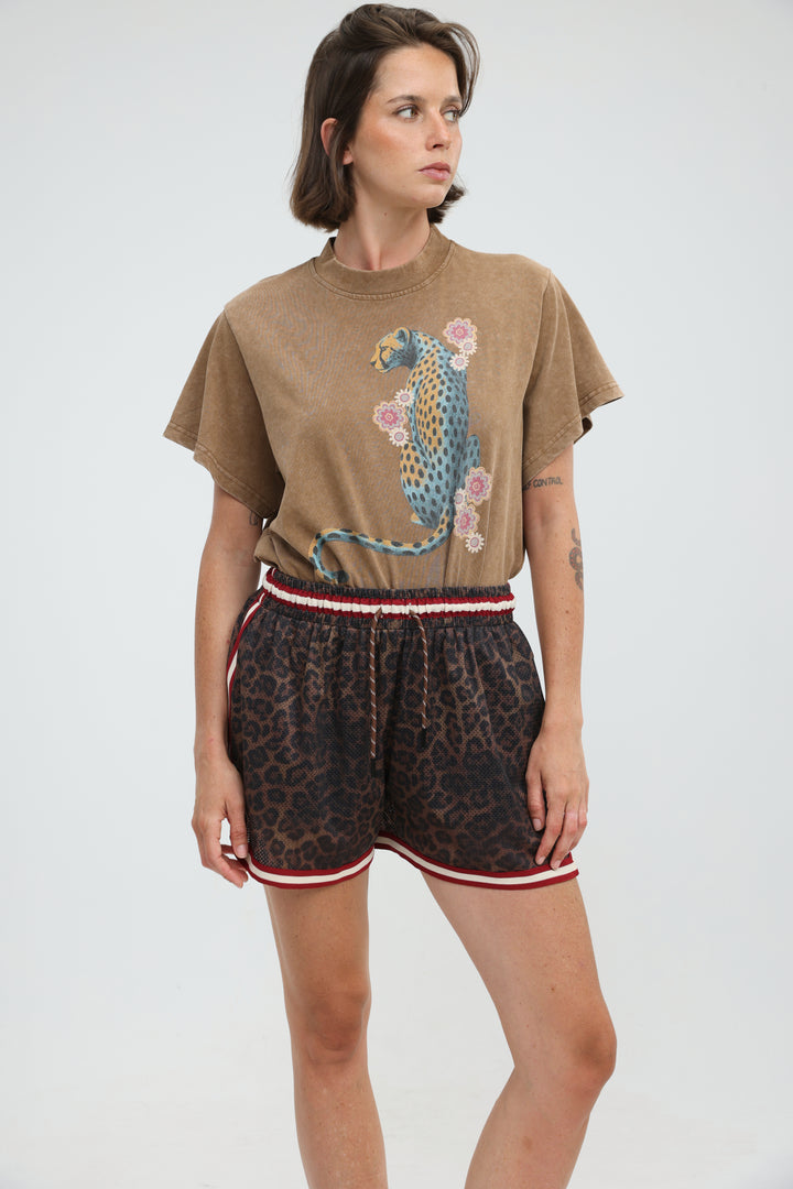Belvedere Camel T-Shirt