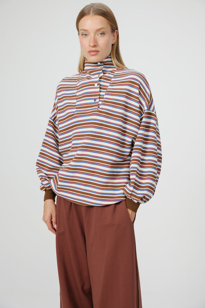 Amazed Brown Striped Polo