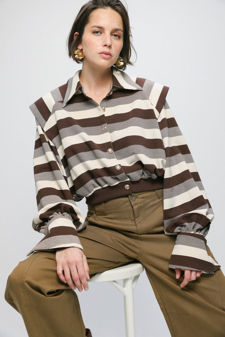 Calm Brown Striped Polo