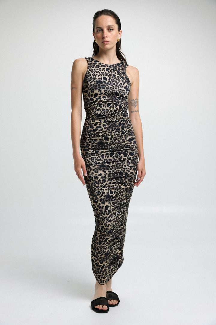 שמלה צמודה מנומרת דגם Looking Leopard Dress סיסטרז