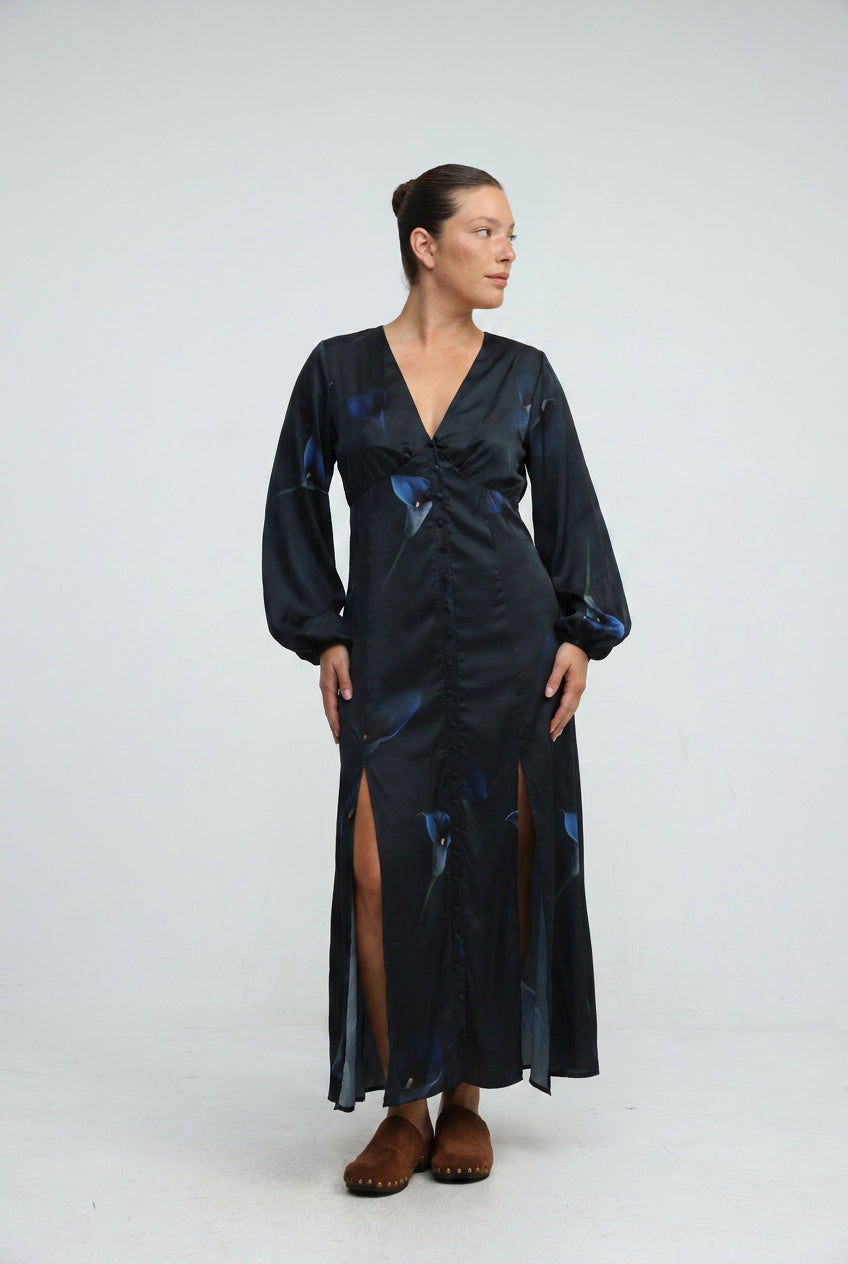 Le Soir Black Floral Dress