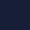 Aria Navy Shorts