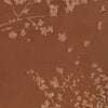 TLV Brown Bodysuit
