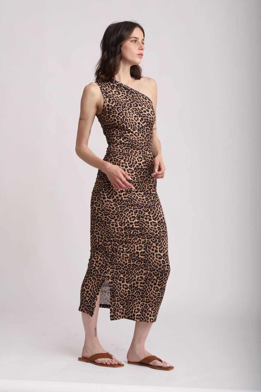Have Leopard Dress